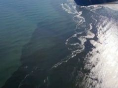Загрязнение Тихого океана у берегов Камчатки.  Фото: @yurydud