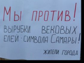Пикет против вырубки елей, фото Павла Валерина, Каспаров.Ru